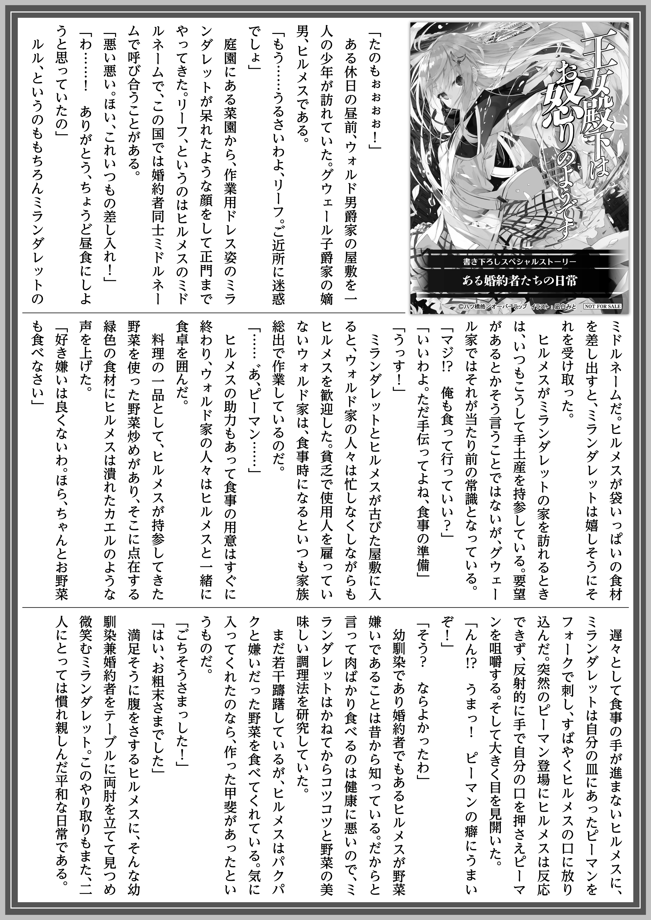 【文庫】「王女殿下はお怒りのようです 2.精霊王の来訪」B5SSペーパー